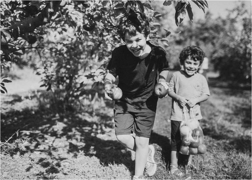 apple picking at becker farms