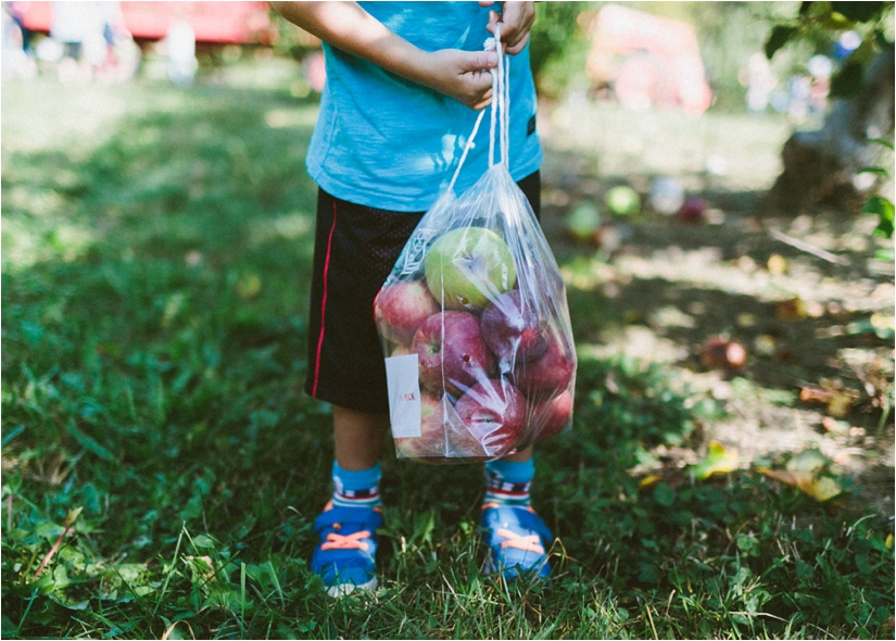 apple picking at becker farms