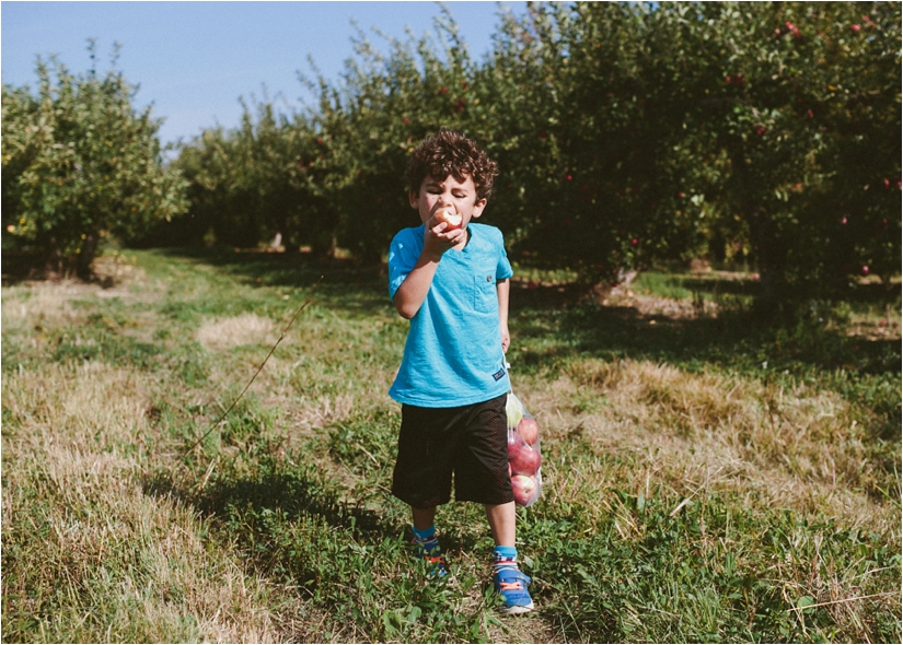 apple picking at becker farms