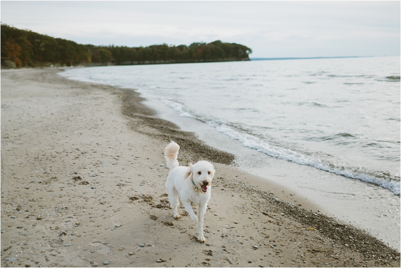 Buffalo Wedding & Portrait Photography