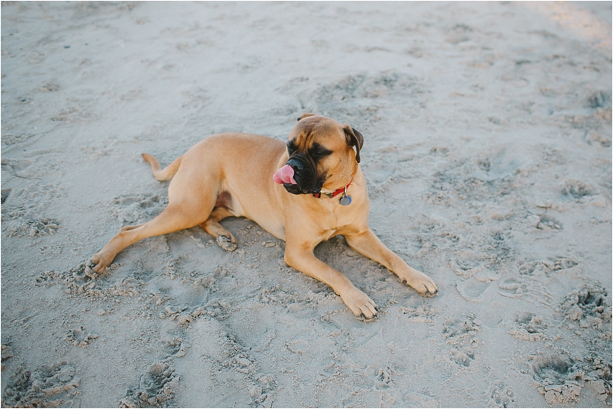 san diego wedding photographer