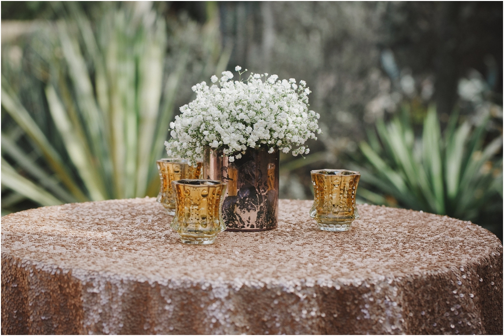 WEDDING PHOTOGRAPHY Desert Botanical Garden Weddings