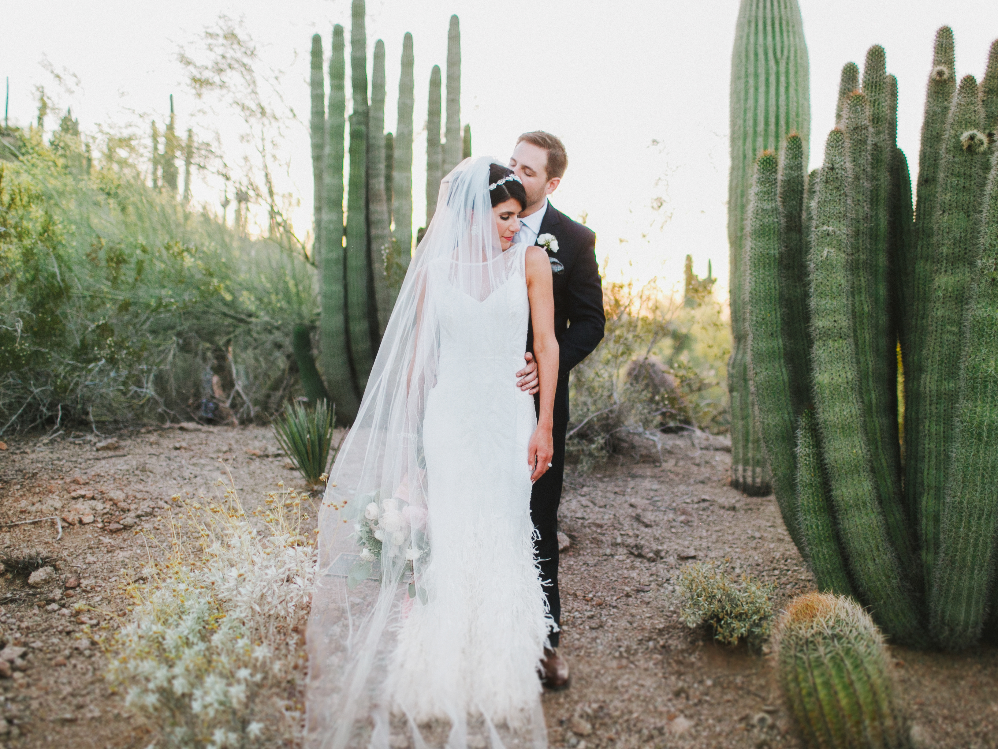 Desert Botanical Garden Wedding Photos | Botanical Garden Scottsdale, Arizona Wedding Photographers