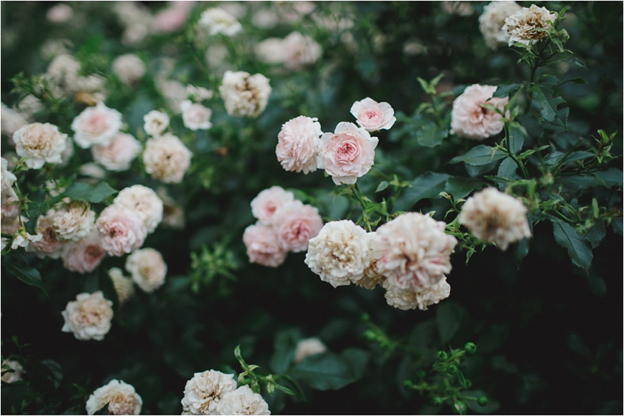 NYC-ENGAGEMENT-SESSSION-NWOOD-FT-TRYON-CLOISTERS_0003