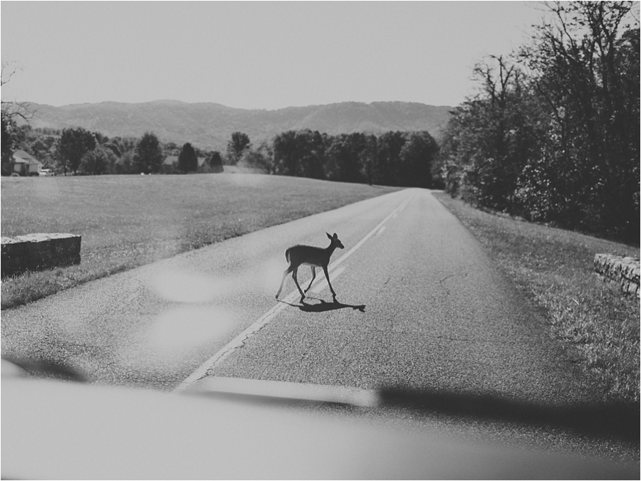 theshawsontheroad24