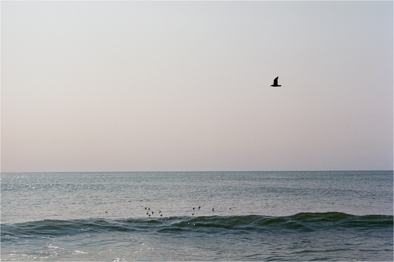 Nantucket Wedding Photographer. Shaw Photography Co. Nantucket Photographers 