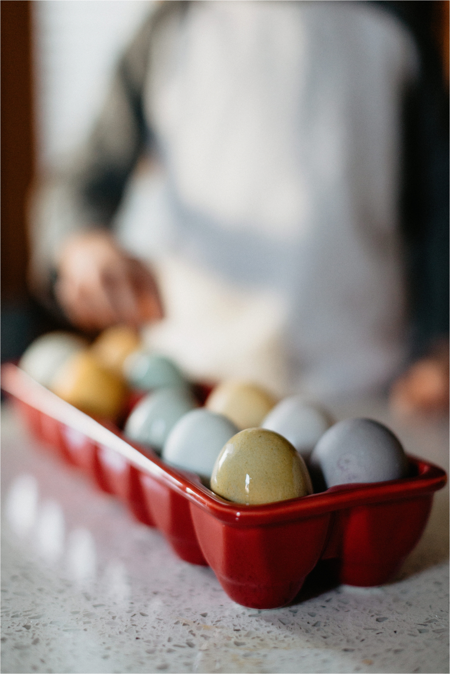 Elmwood Village Family Photographer